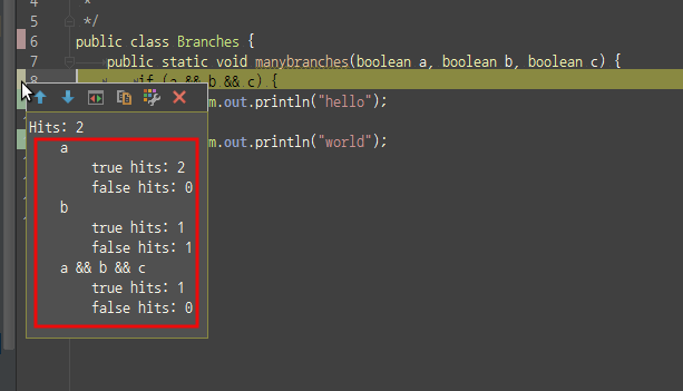 intellij_branch_coverage_show.png